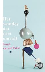 Foto van Het wonder dat niet omvalt - ernest van der kwast - ebook (9789023498148)