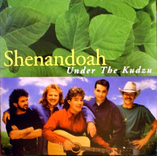 Foto van Under the kudzu - cd (0078636626727)