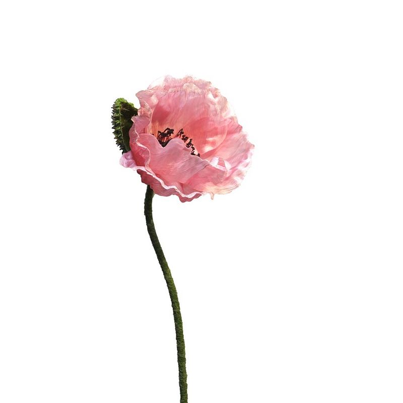 Foto van Papaver nudicaule pink open flower 70 cm kunstbloemen