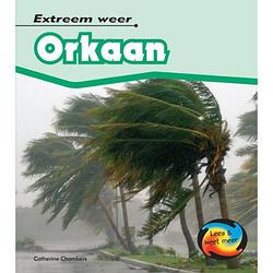Foto van Orkaan - extreem weer