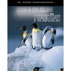 Foto van Leven in een kolonie pinguins - leven in een ...