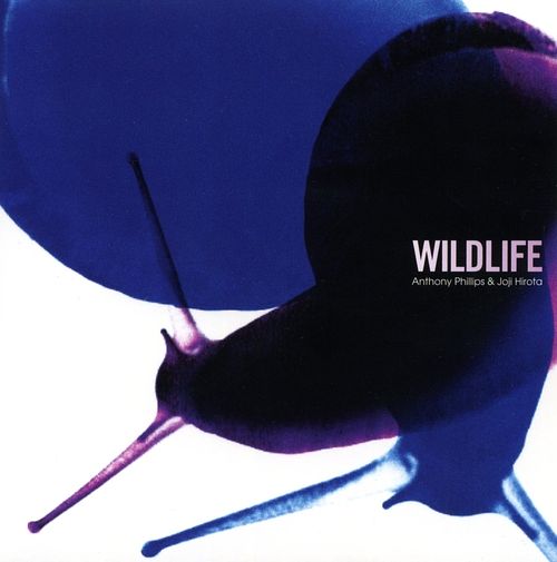 Foto van Wildlife - cd (5013929482692)