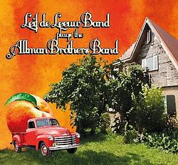 Foto van Plays the allman brothers band - lp (8713762038847)