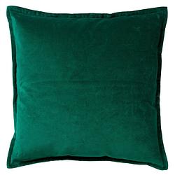 Foto van Dutch decor caith - kussenhoes velvet galapagos green 50x50 cm - groen - groen