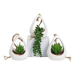 Foto van Greendream® kunstplanten - 3 stuks hangplanten in hanger - kunstplant - cadeautip - wit
