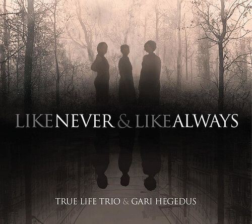 Foto van Like never & always - lp (0040232432385)