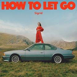 Foto van How to let go - lp (0602435768519)