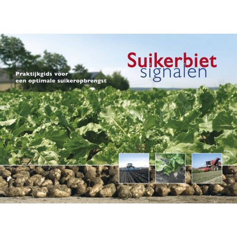 Foto van Suikerbietsignalen