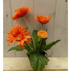 Foto van Warentuin mix - kunstgerbera oranje in pot 25 cm