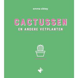 Foto van Cactussen