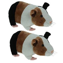 Foto van Set van 2x stuks pluche knuffel dieren cavia van 20 cm - knuffel huisdieren