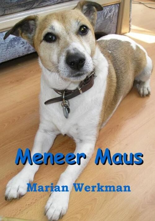 Foto van Meneer maus - marian werkman - ebook (9789085709381)