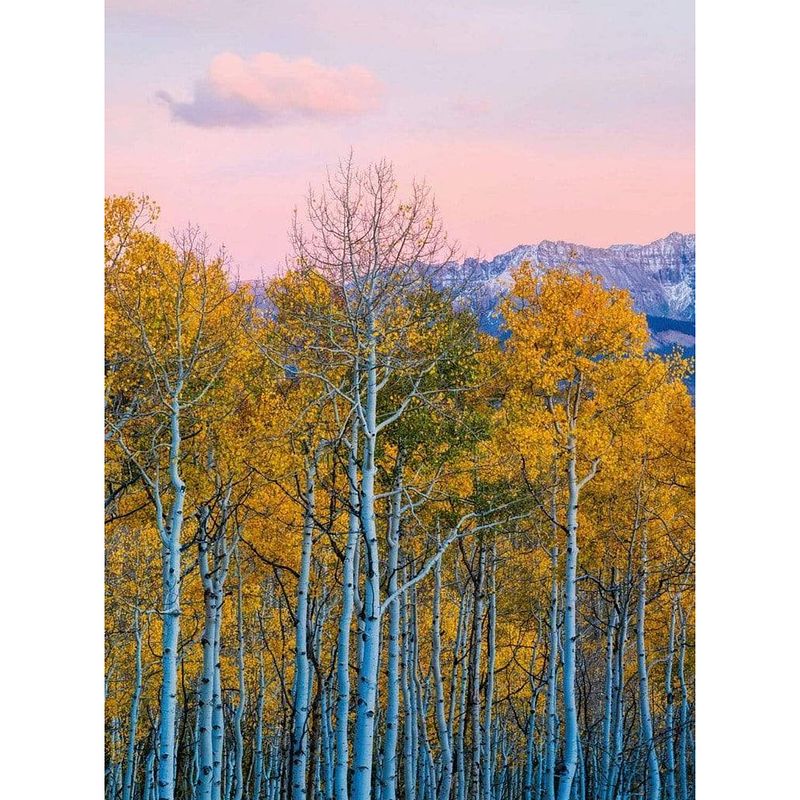 Foto van Wizard+genius birches and mountains vlies fotobehang 192x260cm 4-banen