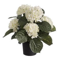 Foto van Witte hortensia hydrangea kunstplant in zwarte kunststof pot 44 cm - kunstplanten