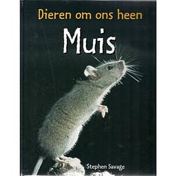 Foto van Muis - dieren om ons heen