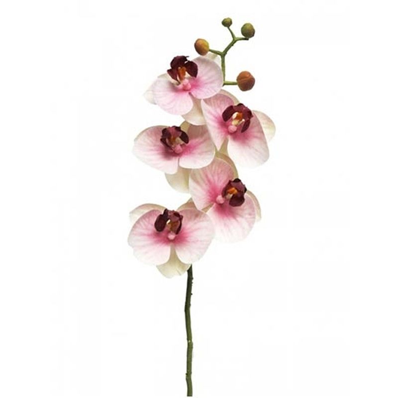 Foto van Kunst phalaenopsis orchidee bora 58 cm - roze