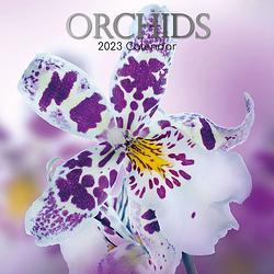 Foto van Orchidee kalender 2023
