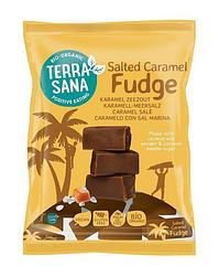 Foto van Terrasana salted caramel fudge