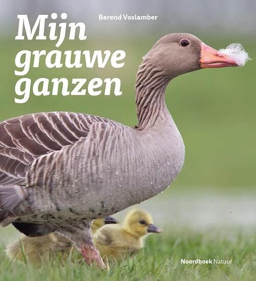 Foto van Mijn grauwe ganzen - berend voslamber - paperback (9789464710816)