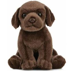Foto van Pluche bruine labrador hond knuffel 16 cm - honden huisdieren knuffels - speelgoed voor kinderen