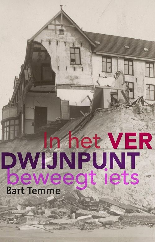 Foto van In het verdwijnpunt beweegt iets - bart temme - ebook