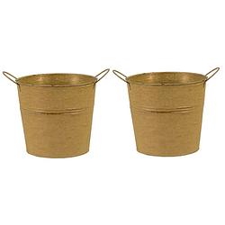 Foto van Mega collections emmer/plantenpot - 2x - zink - oud goud - d18 x h16 cm - emmers