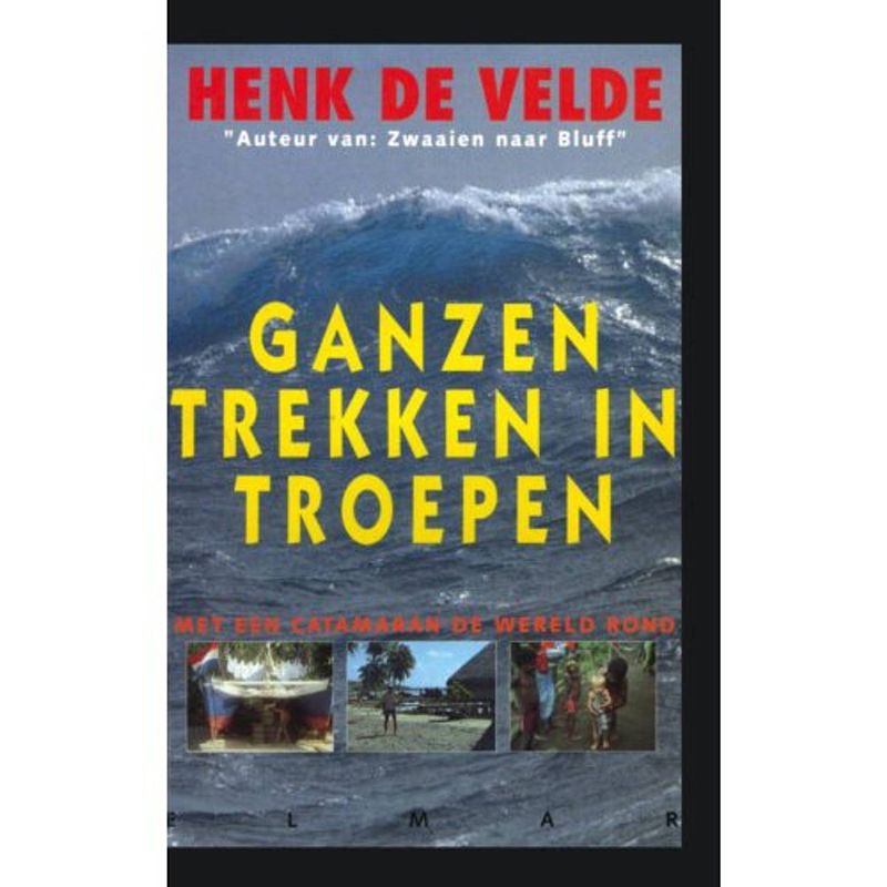 Foto van Ganzen trekken in troepen