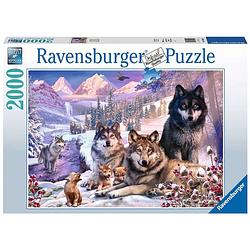 Foto van Ravensburger puzzel wolven in de sneeuw