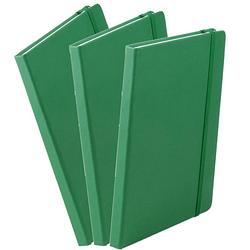 Foto van Set van 3x stuks luxe schriftjes/notitieboekjes groen met elastiek a5 formaat - schriften