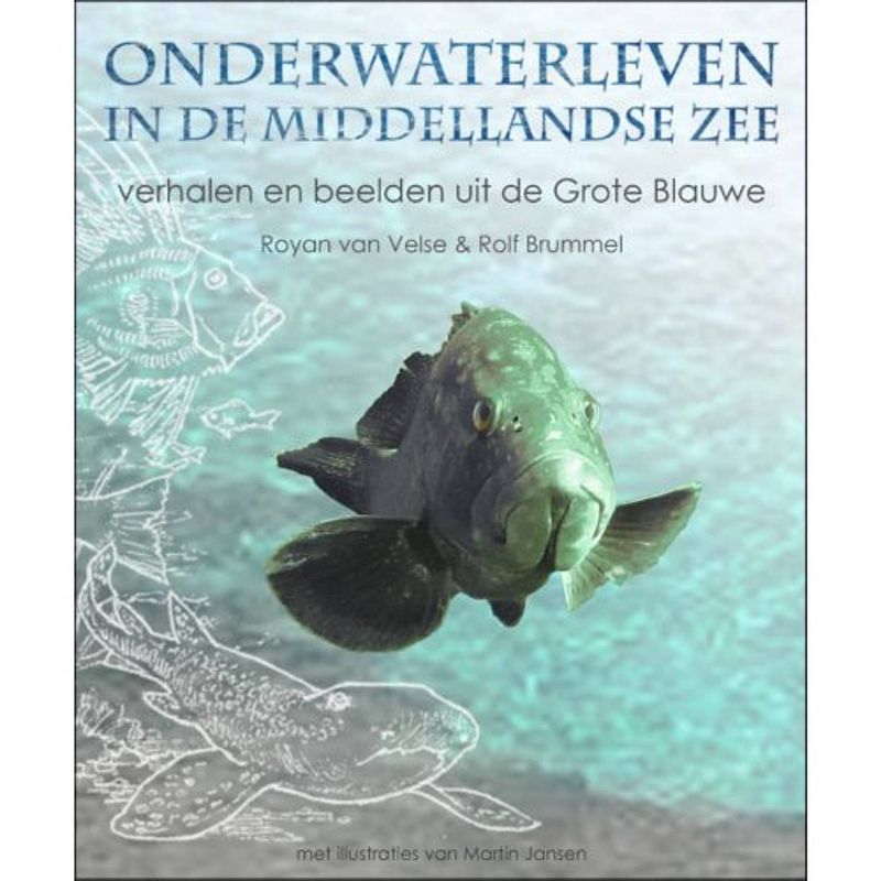 Foto van Onderwaterleven in de middellandse zee