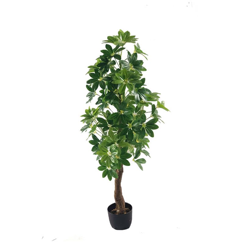 Foto van Schefflera arbolica kunstplant 120cm