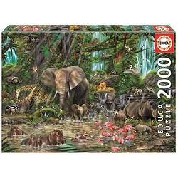 Foto van Educa puzzle 2000 pieces - african jungle