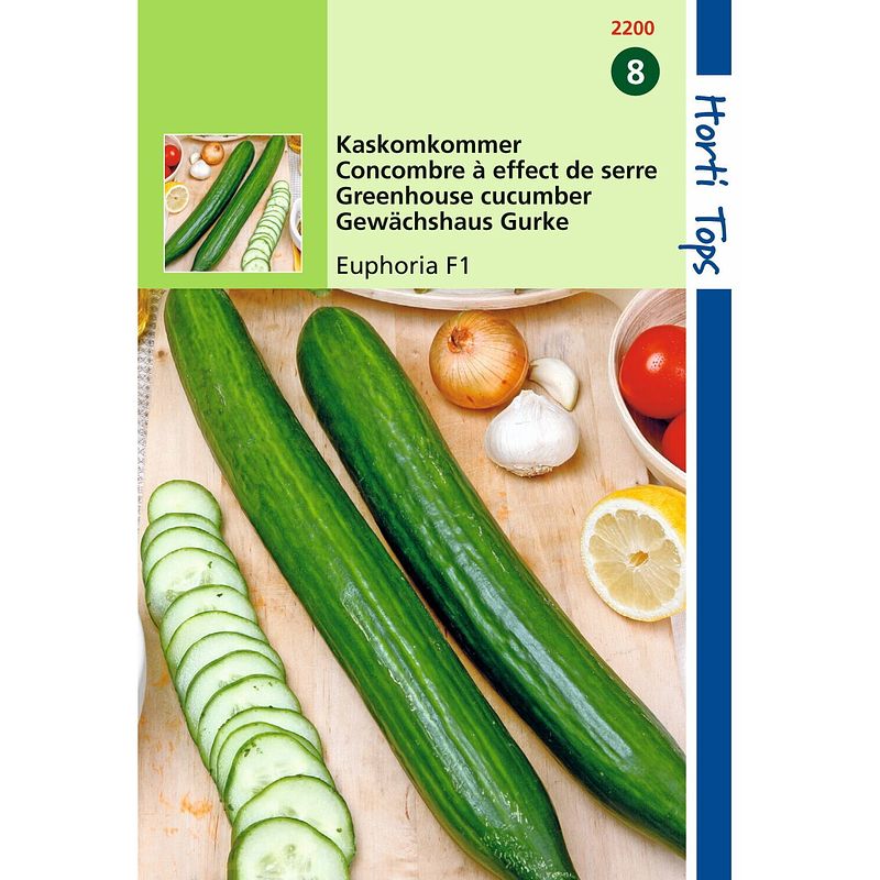 Foto van 2 stuks komkommers confida f1 meeldauwresistent