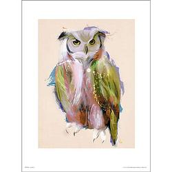 Foto van Gbeye owl paint kunstdruk 50x70cm