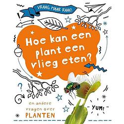 Foto van Hoe kan een plant een vlieg eten?