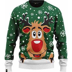 Foto van Jap foute kersttrui - rudolf het rendier - kerstcadeau - dames en heren - kerst - 3xl - groen