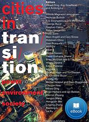 Foto van Cities in transition - andong lu, arie graafland, wowo ding - ebook (9789462082649)