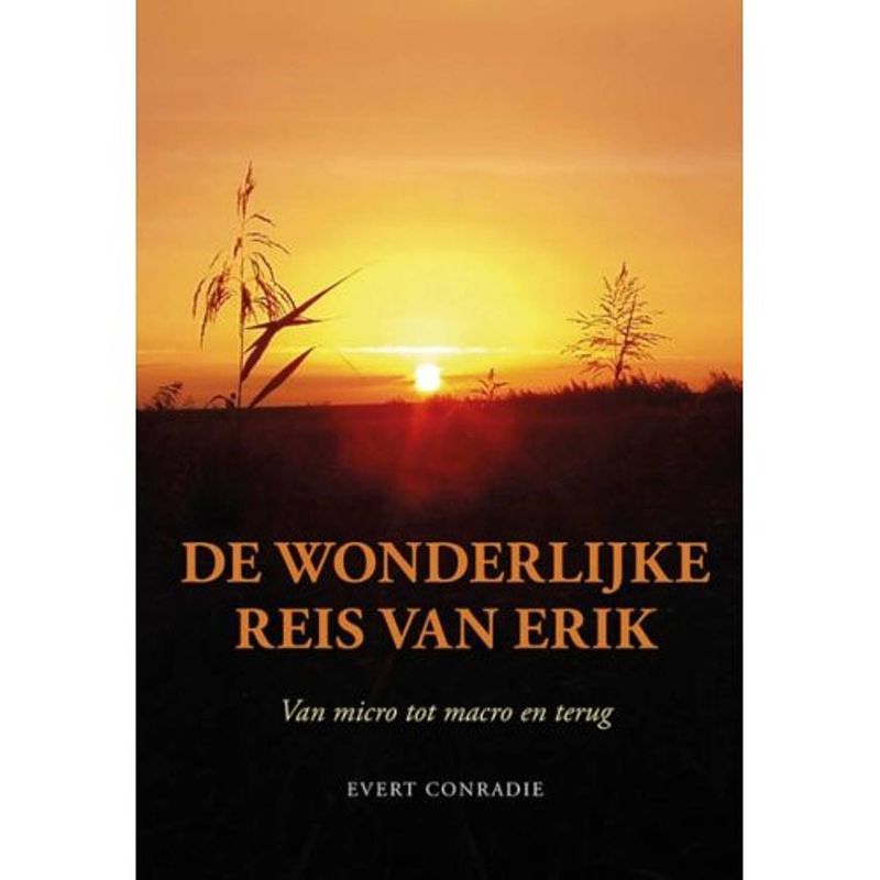 Foto van De wonderlijke reis van erik