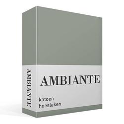Foto van Ambiante cotton uni hoeslaken - 100% katoen - lits-jumeaux (160x210/220 cm) - green