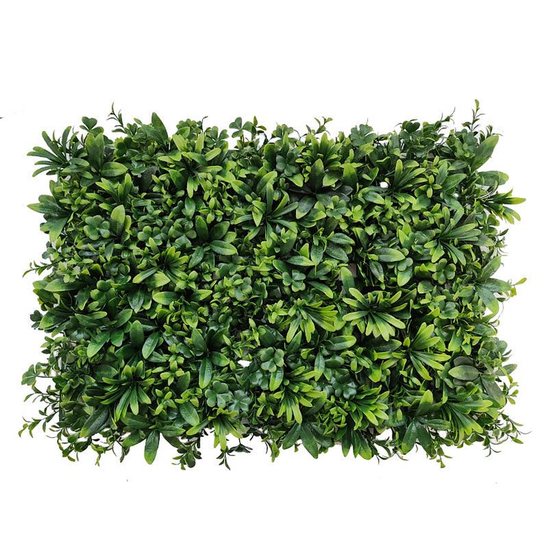 Foto van Kunsthaag buxus wandmat mix uv 60x40cm