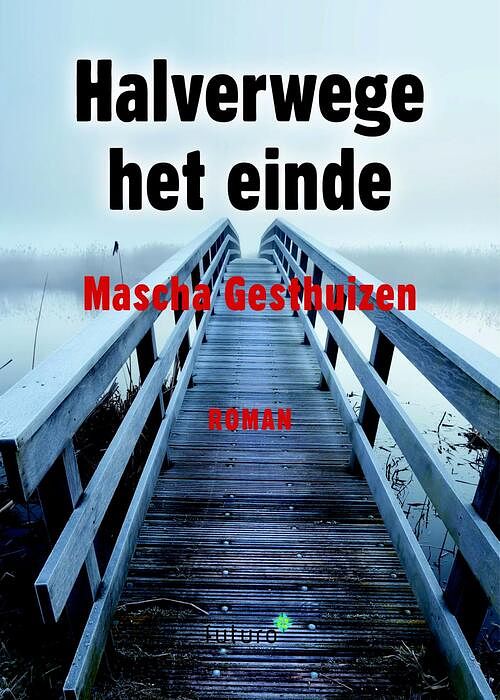 Foto van Halverwege het einde - mascha gesthuizen - ebook (9789492939111)