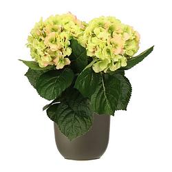 Foto van Hortensia kunstplant/kunstbloemen 36 cm - groen/roze - in pot olijfgroen mat - kunstplanten