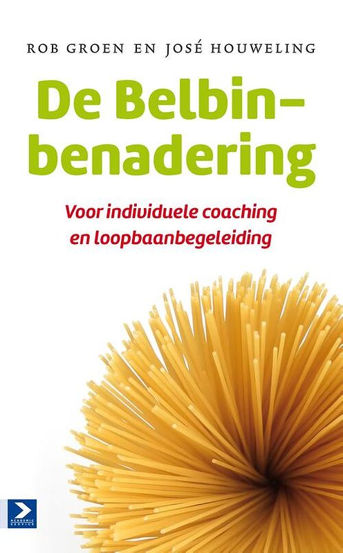 Foto van De belbin-benadering - josé houweling, rob groen - ebook (9789058758798)