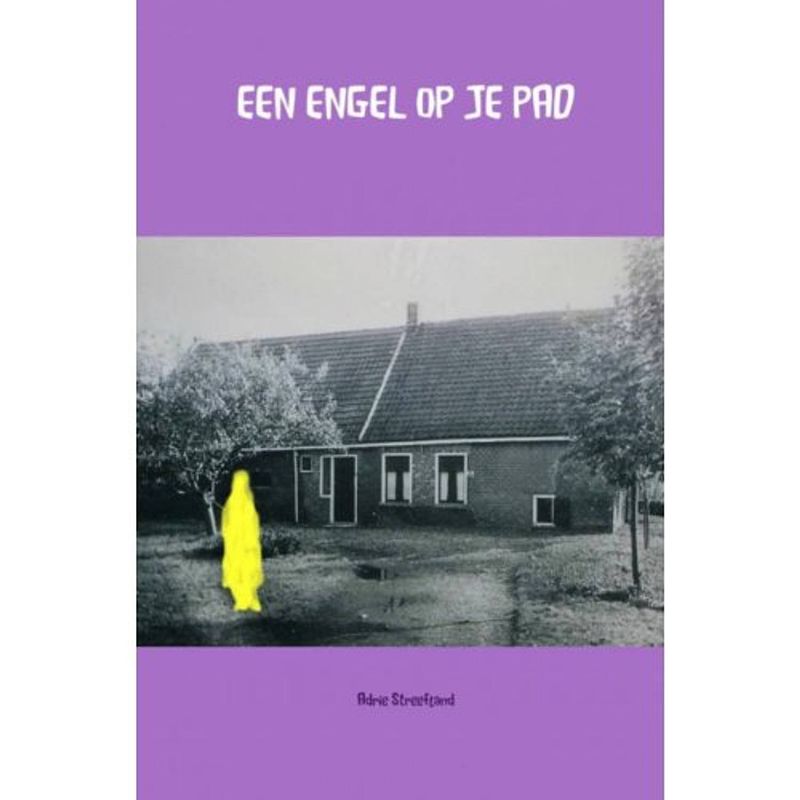 Foto van Een engel op je pad