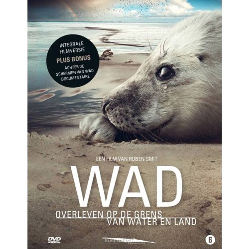 Foto van Wad