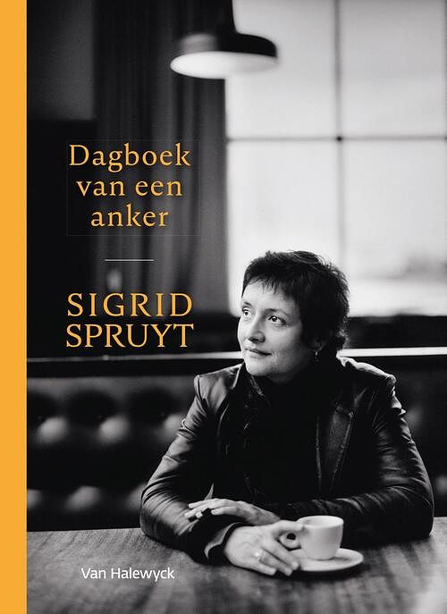 Foto van Dagboek van een anker - sigrid spruyt - ebook (9789463830454)