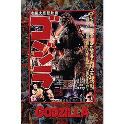 Foto van Poster godzilla 1 61x91,5cm