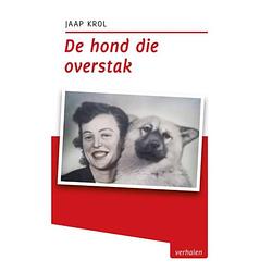 Foto van De hond die overstak - tzum-reeks