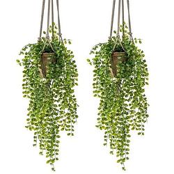 Foto van 2x kunstplanten hangplant ficus in pot met touwen 16 cm - kunstplanten