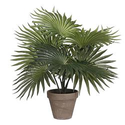 Foto van Mica decorations palm kunstplant - groen - h40 x d35 cm - kunstplanten